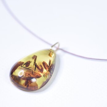 Baltic amber Necklaceの画像