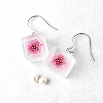 ヒメツルソバのフックピアス チタン【受注制作】ギフト 誕生日プレゼント ギフトラッピング 結婚式 お呼ばれ