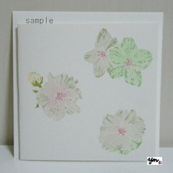 正方形カード〈うこん桜-1〉の画像