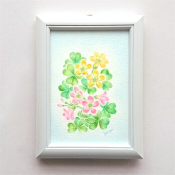 原画作品「カタバミ」の画像