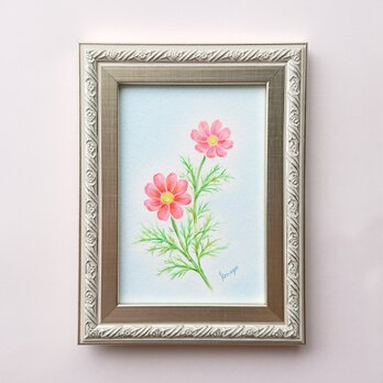 原画作品「コスモス」の画像