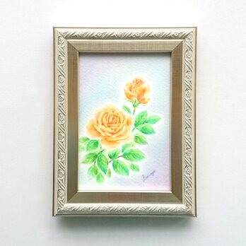 原画作品「薔薇」の画像
