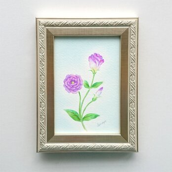 原画作品「紫のトルコキキョウ」の画像