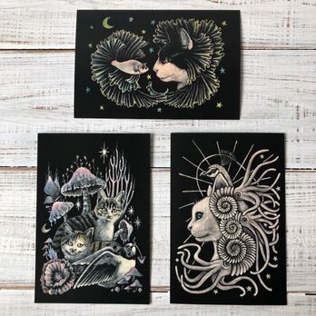 オリジナルポストカード３枚セット 「魔法の練習」「君がいた日々」「神」★ 猫 星月猫 アートの画像