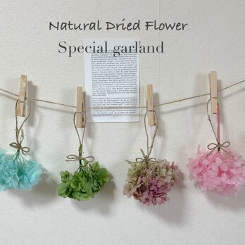 送料無料！ボンボン紫陽花の花輪　六連ガーランド♬ カラーミックスの自然な風合い！お子様と一緒にお飾り！の画像