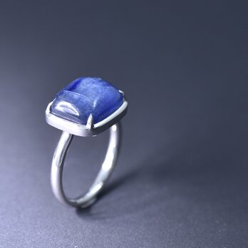 Kyanite Pt950 Ring【apartamento/アパトメント】の画像