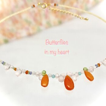 Butterflies in my heart（バタフライズ イン マイ ハート）の画像