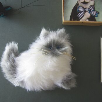 受注制作 >> PEPOSO: furry animals "cat" ねこ / ポインテッド 白×グレーの画像