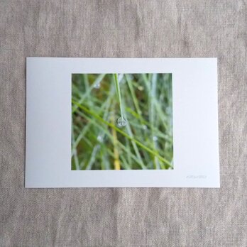 写真「ひかり」ポストカード　3枚セット　シンプル　ナチュラコ　　ナチュラル　アート　naturakoの画像