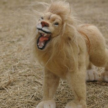 羊毛フェルト　「ライオンの雄叫び」の画像
