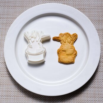 パキポディウム グラキリス（クッキーカッター・クッキー型）の画像