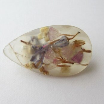 植物標本 ドロップ型 ブローチ - ヒヤシンス [004]