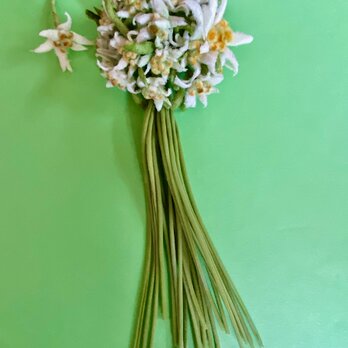 布花 Edelweiss Special Bouquet Corsageの画像
