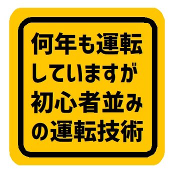 何年も運転してますが初心者並みの運転技術 カー マグネットステッカーの画像