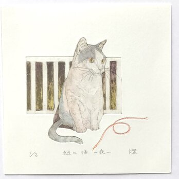 紐と猫　夜／紙版画・ステンシル（作品のみ）の画像