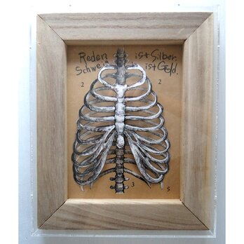 立体的な肋骨の絵画 骨格標本 アート 原画 アクリルフレーム ペン画 理科 科学の画像