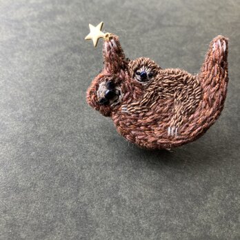 "星を見つけたナマケモノ親子"  刺繍ブローチの画像