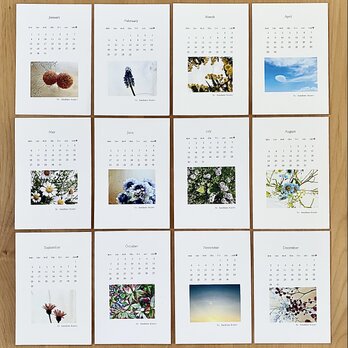 《送料無料》  2024年 花のカレンダー ポストカードサイズの画像