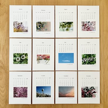 《送料無料》  2025年 花のカレンダー ポストカードサイズの画像