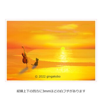 「待つ宵に」　猫　チェロ　夕日　ほっこり癒しのイラストポストカード2枚組No.001の画像