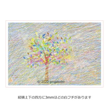 「ゆくりなくあやなす」樹　木　ほっこり癒しのイラストポストカード2枚組No.005の画像