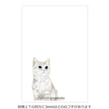 「とことわをみつめて」猫　ほっこり癒しのイラストポストカード2枚組No.015の画像