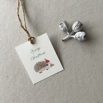 小さなはりねずみのクリスマスカード タグ 40枚の画像