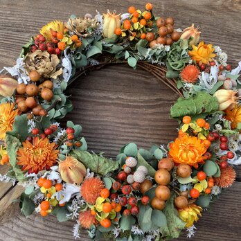 八ヶ岳〜秋色Wreathツルウメモドキ