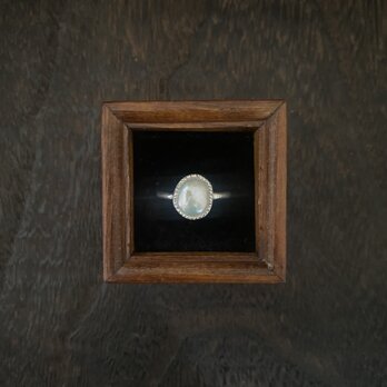 淡水パールのRing (xvx)の画像