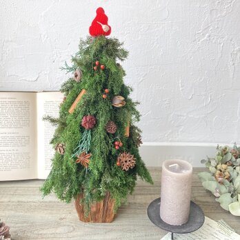 ナチュラルなクリスマスツリー〜毛糸の帽子の忘れもの赤〜の画像