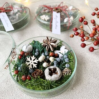 ガラスシャーレのクリスマスの画像