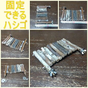 小動物、鳥おもちゃ（TOY-03-010)　ハシゴ鳥用品の画像