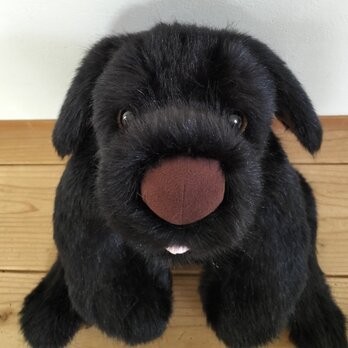 感動する抱き心地。重さ約4100g、命の重みを感じる犬のぬいぐるみ・クロラン（黒）