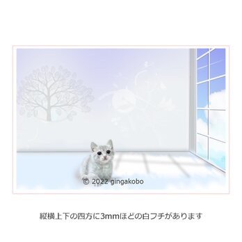 「愛しきやしキミ」猫 ほっこりほっこり癒しのイラストポストカード2枚組No.024の画像