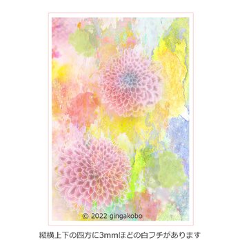 「星見草の詩林」 花　菊　ほっこり癒しのイラストA4サイズポスター　No.1028の画像