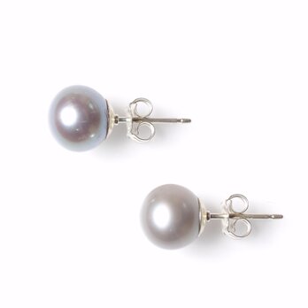 -Silver pearl- studs