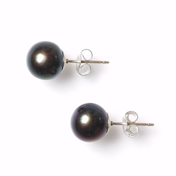 -Brown pearl- studs