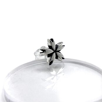 桜のシンプルなシルバー925ピアス