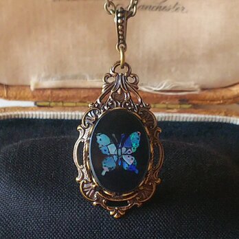 ヴィンテージ　Shell/七色に煌めく蝶　ヴィクトリアンネックレス