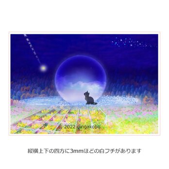 「月華の調べ」 猫　月　ほっこり癒しのイラストA4サイズポスター　No.1030の画像