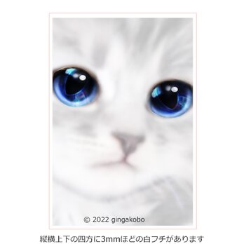 「きみはげんきかい？」 猫　ほっこり癒しのイラストポストカード2枚組No.033の画像
