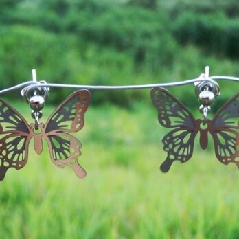 cometman 透かし 蝶（チョウ）の羽のピアスorイヤリングの画像