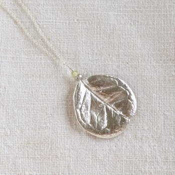 Feijoa leaf stone necklace (round) [P074SV(ST)]の画像