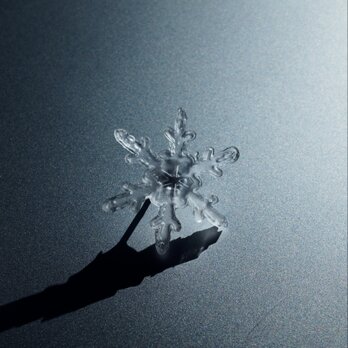 雪、ついてるよ　雪の結晶　ピンブローチ　NO.11の画像
