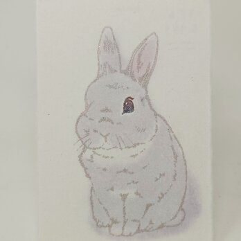 ギルディング和紙葉書　うさぎ灰の画像