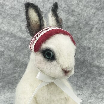 うさぎ＊ドワーフホト＊白うさぎの画像