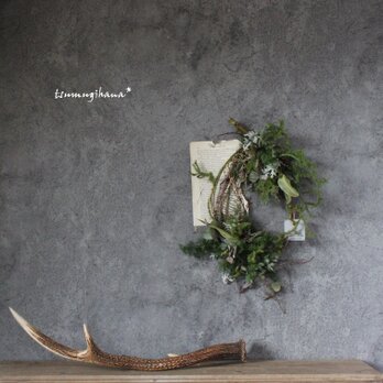 wreath　[眠る森]№２　　　ユーカリの茎とグリーンのリース　　ドライフラワーリース　　クリスマス リースの画像