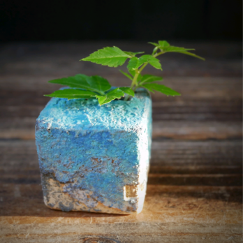 青色小窓サイコロ花瓶 no.1の画像
