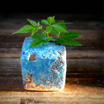 青色小窓サイコロ花瓶 no.2の画像