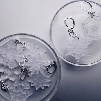雪の結晶　標本ネックレスの画像